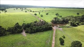 FAZENDA À VENDA ARAGUAÍNATO [upl. by Annamarie]