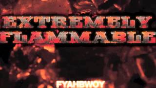 Fyahbwoy  Reggae Vybz  Extremely Flammable  2012 [upl. by Anneliese]