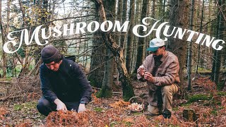 Hunting amp Cooking In The Woods Winter Survival Food 🍄 [upl. by Shushan]