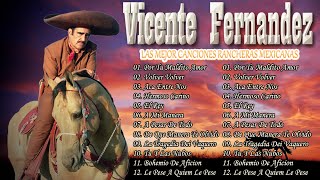 VICENTE FERNANDEZ MEJORES CANCIONES  VICENTE FERNANDEZ 20 GRANDES ÉXITOS MIX [upl. by Aeneus]