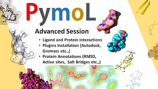 Pymol Advanced Session  Protein Ligand Interactions  Pymol Plugin Installation [upl. by Hilar]