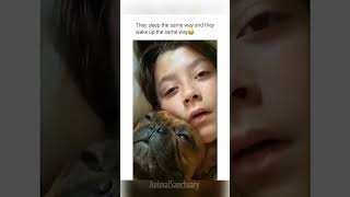 why would you interrupt his sleep funny dog and cat 🥺 compilation funny wholesome dog cat [upl. by Wiebmer]