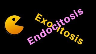 ENDOCITOSIS Y EXOCITOSIS [upl. by Etteuqram397]