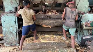 WOOD PEELING 👌 KERALA PLYWOOD MANUFACTURING COMPANY  SAW MILL 🪵 [upl. by Nashner]