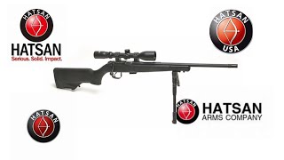 Hatsan Escort 22LR [upl. by Sullivan]