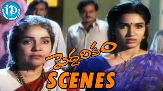 Peddarikam Movie Scenes  Jagapathi Babu Fight With Sukanyas Family  Bhanumathi  AM Rathnam [upl. by Eustis351]