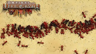 THE GREAT ANT WAR  Empires of the Undergrowth BETA Gameplay  Ep3 [upl. by Jovi]