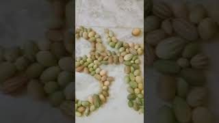 🌺 Using Cucumis pubescens Kachri making 🌺Om🌺art shorts love [upl. by Moncear]