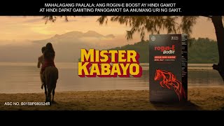 RoginE Boost Mister Kabayo [upl. by Akemot]