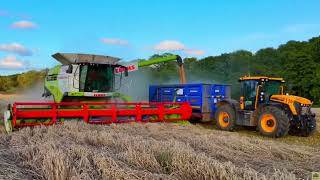 Harvesting barley  Agricultural raw materials [upl. by Merell]