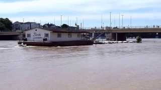 Hochwasser  Heidelberg  Neckar  02 Juni 2013  Neuenheim [upl. by Klina]