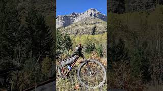 Fernie BC Mt Broadwood Adventure Bike Ride [upl. by Aihsotan]