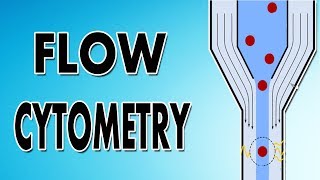 Flow Cytometry [upl. by Aihsikal]