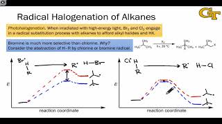 2606 Examples of Radical Reactions [upl. by Ggerk132]