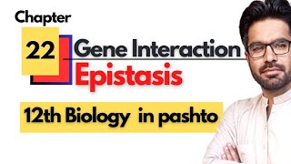 Gene Interaction and epistasis  Class 12th biology  Chapter 22 Inheritance in pashto [upl. by Gladi]