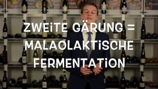 Zweite Gärung  Wein schmeckt gut [upl. by Bruyn]