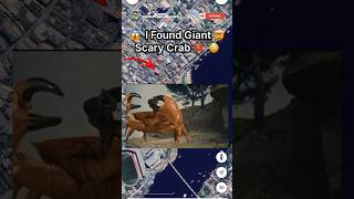 I Found Giant Scary Crab 🦀🤯 on Google Earth  shorts earth map googleearth viral [upl. by Aizirk]