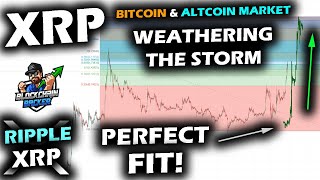 BIG SWINGS CONTINUE as the Bitcoin Price Oscillates and the Ripple XRP Price Chart Looks for Support [upl. by Margaretta]