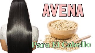 No te crece el cabello Aplicaté avena para tener el pelo largo ☺️ Engrosar el pelo fino [upl. by Aihsela]