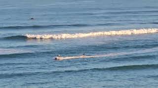 waterskiing behind a Jetski in Maui [upl. by Tenenbaum]