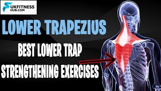 Lower Trapezius Anatomy And Activation Exercises That You Can Do At Home [upl. by Erbua]