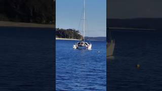 Shoal Bay Beach 🏖️ Sydney Australia 🦘 Once upon a time [upl. by Richela283]