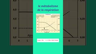 les voix métaboliques de la dégradation de glucose [upl. by Yesdnil]