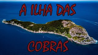 7 curiosidades sobre a Ilha das Cobras  ILHA DA QUEIMADA GRANDE  CURIOSIDADES [upl. by Courtund]