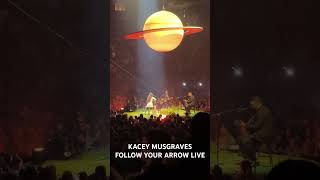 Kacey Musgraves plays “Follow Your Arrow” on Nov 10 2024 in Pittsburgh [upl. by Arammat]