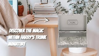 Harry Potter Harrys School Trunk [upl. by Leaffar]