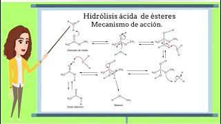 Hidrólisis de ésteres [upl. by Ahsiekrats]