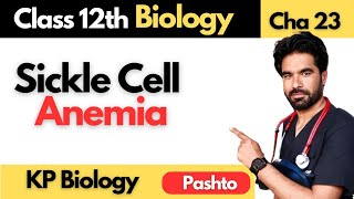 Sickle Cell Anemia  Class 12th Biology  Chapter 23 [upl. by Alyk]