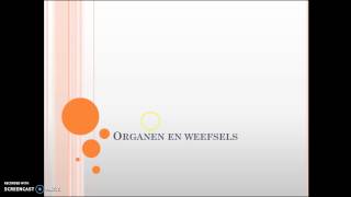 31 organen en weefsels [upl. by Kcirrek532]