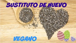 Sustituto De Huevo  Receta  100 Vegano [upl. by Notelrahc119]