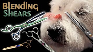 Helping you understand how to choose and use blending shears to groom dogs [upl. by Birch112]