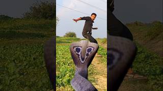 Anaconda Snake in real life P16shortssnake python snakes naginanaconda bigsnake viralvideo [upl. by Enyar880]