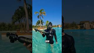 Snorkel masks suck… until now 🤿 fyp snorkel mask snorkeling diving scuba scubadiving beach [upl. by Aniakudo]