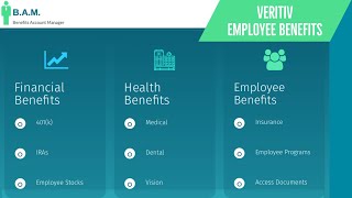 Veritiv Employee Benefits  Benefits Overview Summary [upl. by Myrna]