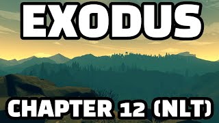 Exodus 12 NLT  Bible Time with Wazoo [upl. by Klimesh163]