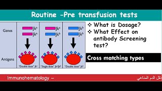 Lecture 1161 Routine Pre Transfusion Tests [upl. by Nolyad]