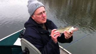 Catching Lake MacBride Walleyes with Northland Plastics and Hutch JigsApril 2011 [upl. by Stine]