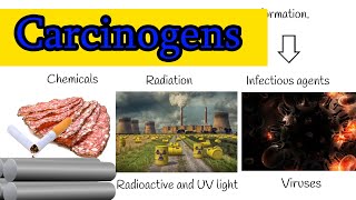 Chemical Carcinogens  Cancer causing agents we use in everyday life [upl. by Hieronymus567]