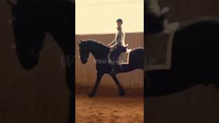 Pilsali whiteequine horse dressage equestrian edit [upl. by Hankins]