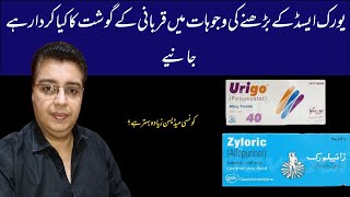 Uric Acid Ka Ilaj  zyloric 300mg tablet uses Urigo Tablet Uses [upl. by Niltag461]