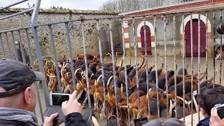 La soupe des chiens  Chateâu de Cheverny  France [upl. by Kizzie284]