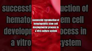 Breakthrough in Regenerative Medicine Reproducing Hematopoietic Stem Cells [upl. by Aneertak]