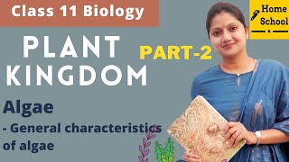 Plant Kingdom Class 11 Biology  Algae  Part2 [upl. by Aralk93]