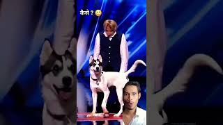 DOG Mask Fake is REAL DOG MAGIC💯😱🤯 viralshorts magic youtube viral [upl. by Cybil]