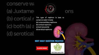 Kidney functionExcretion and Osmoregulationneet daily practice questions [upl. by Suirtemid]