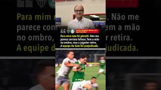 Pênalti bem marcado em Palmeiras x AtléticoMG Simon analisou shorts [upl. by Ki]